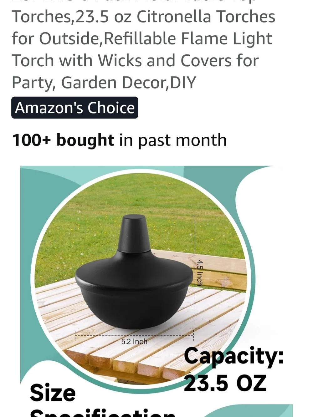 Black Outdoor Metal Table Top Torches 23.5 Oz - Pack of 6